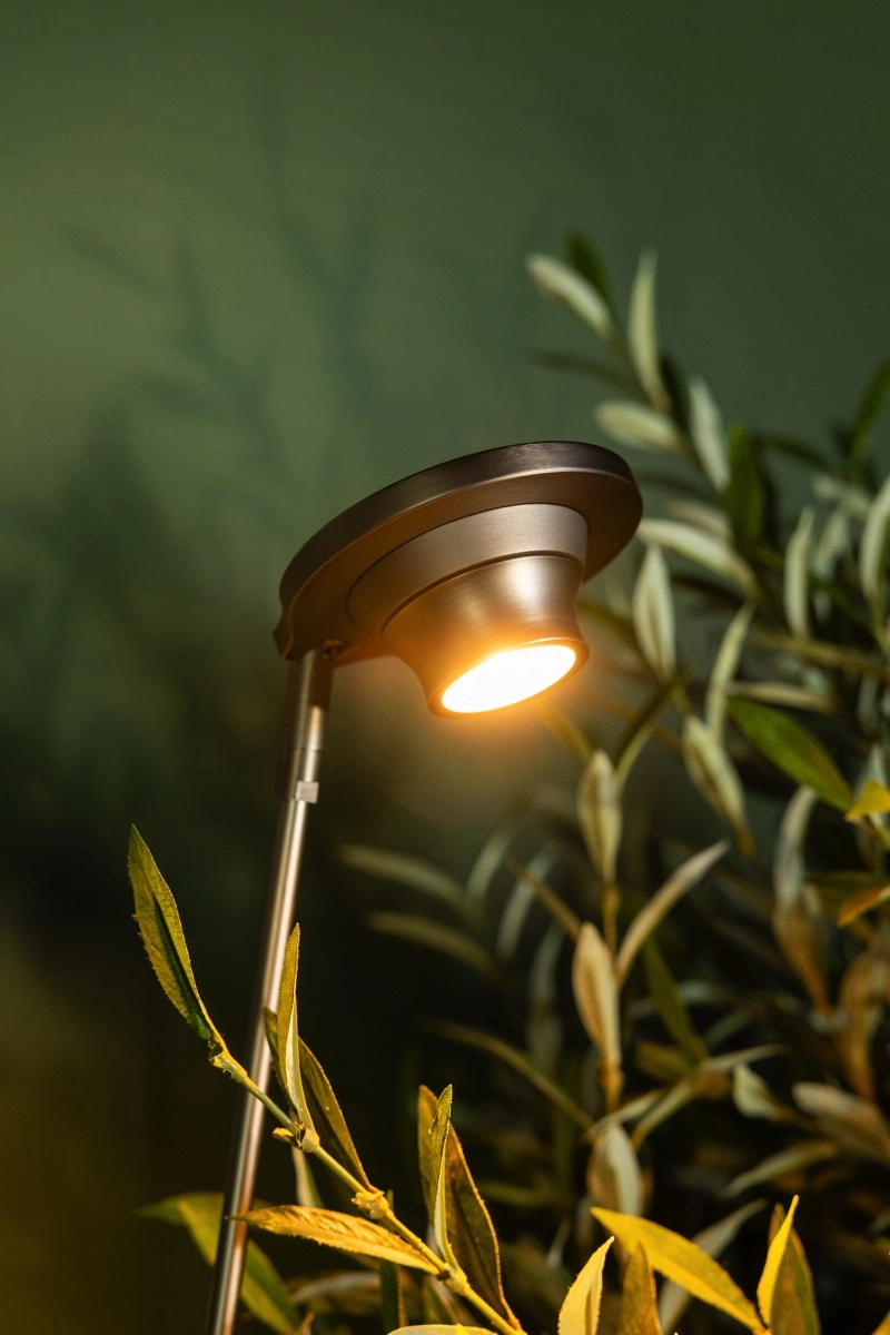Modern reading lamp Angelique black nickel ETH 8720195310860