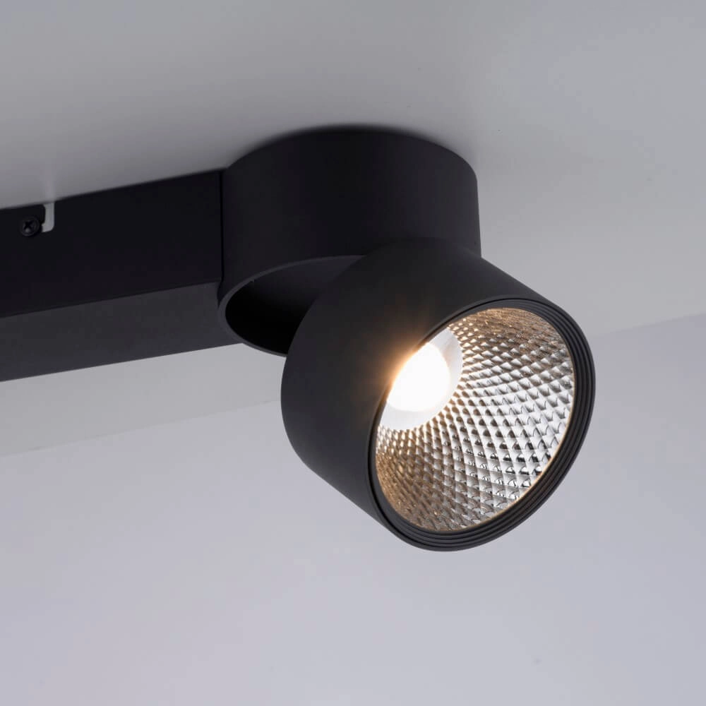 Ceiling lamp Pure Nola 2-light black Paul Neuhaus 4012248372005