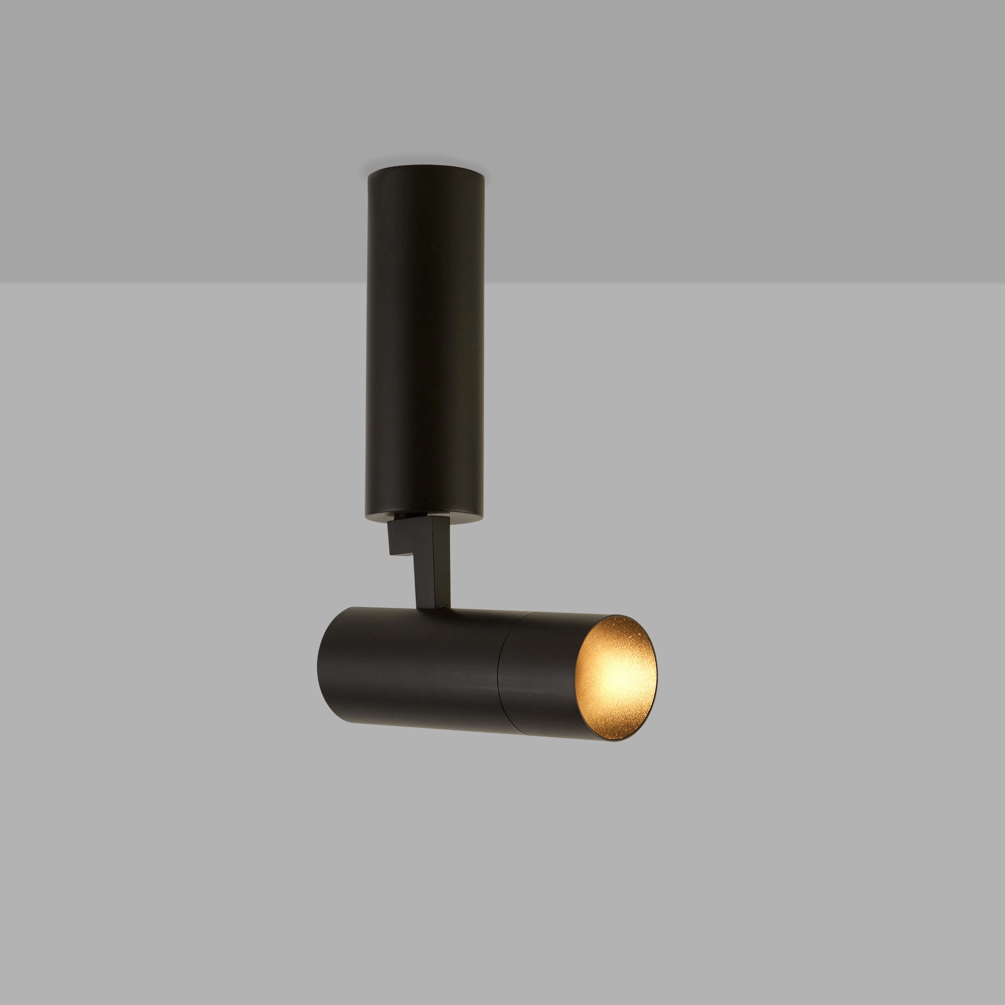 Ceiling lamp Andromeda Black