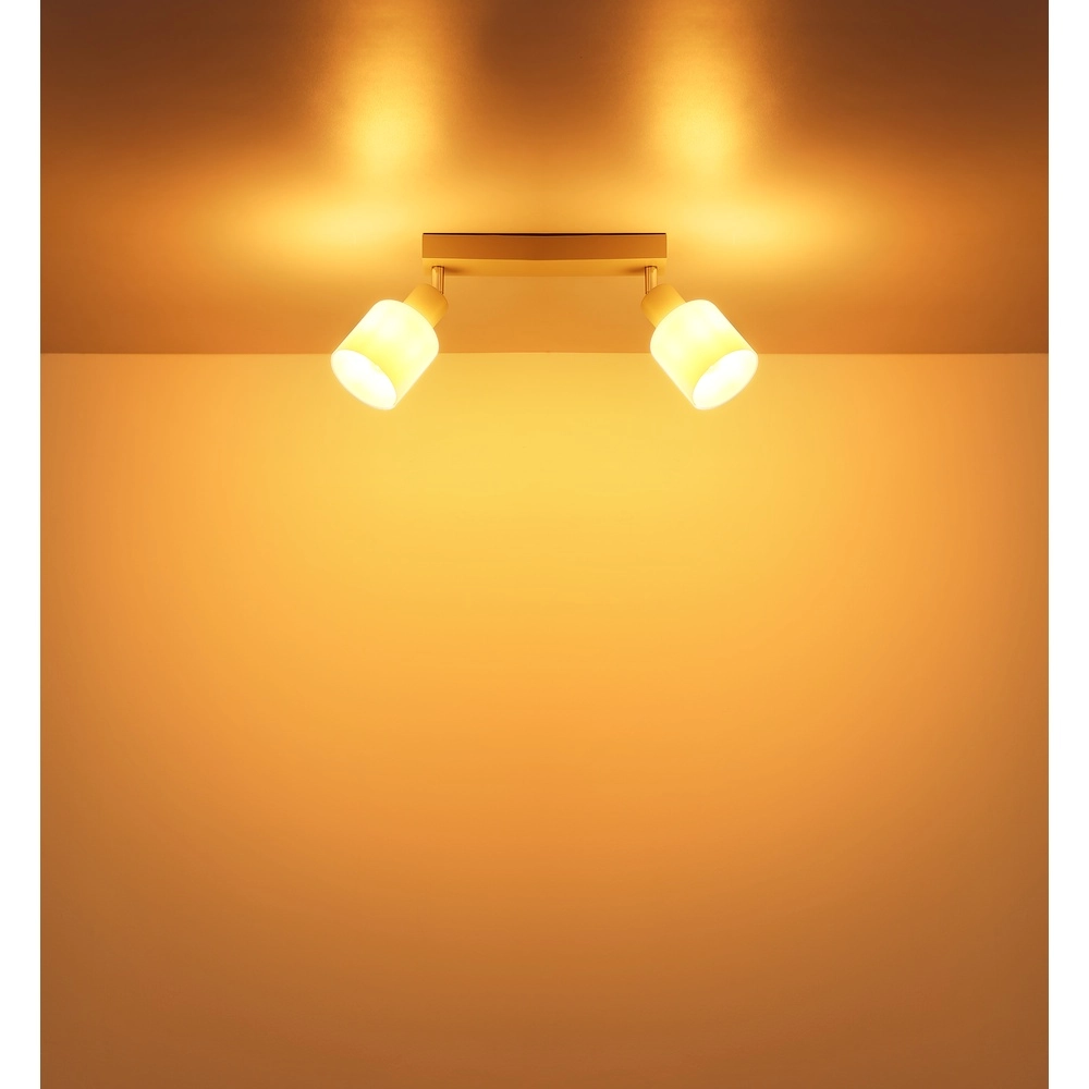 2-light ceiling spotlight Trent sand brown Globo 9007371575961