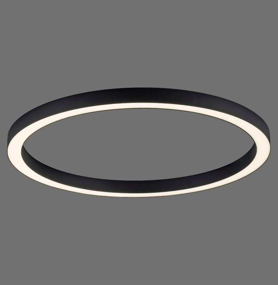 Round floor lamp Pure Lines Round Ø 70cm anthracite Paul Neuhaus 4012248373521