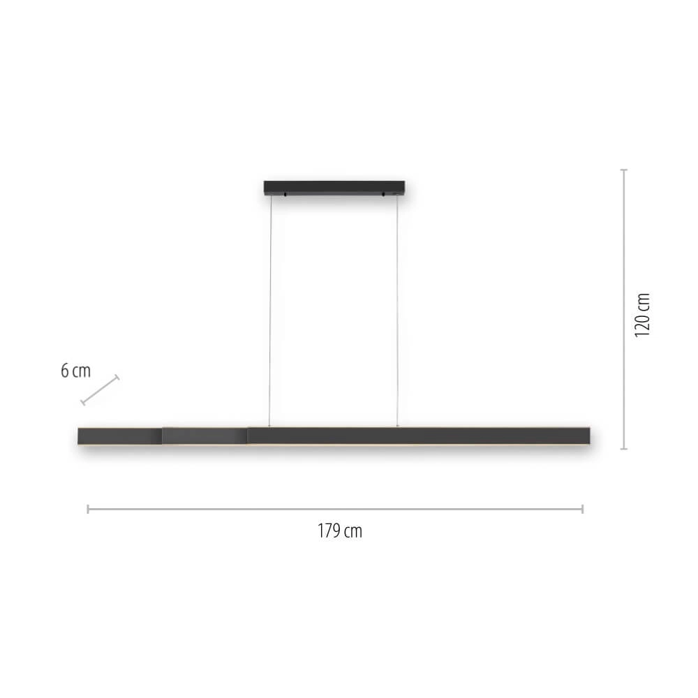 Sleek hanging lamp Pure Lume anthracite Paul Neuhaus 4012248357842