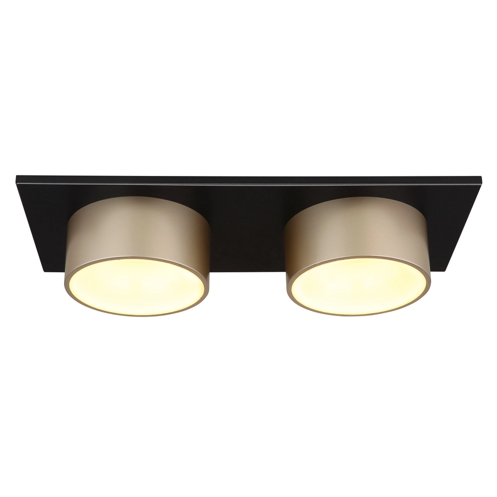 2-light ceiling lamp Raymond black with champagne Globo 9007371522873