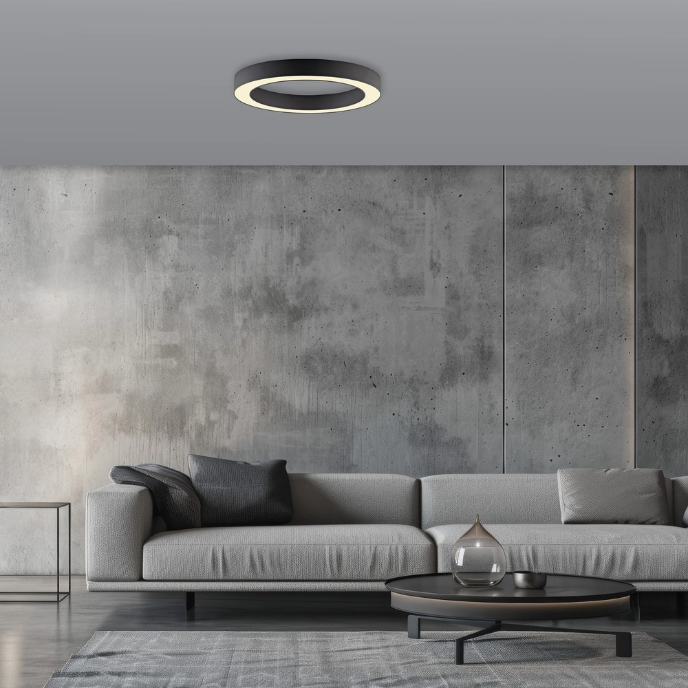 Sleek led ceiling lamp Pure Lines Round Ø 35cm - graphite Paul Neuhaus 4012248395219