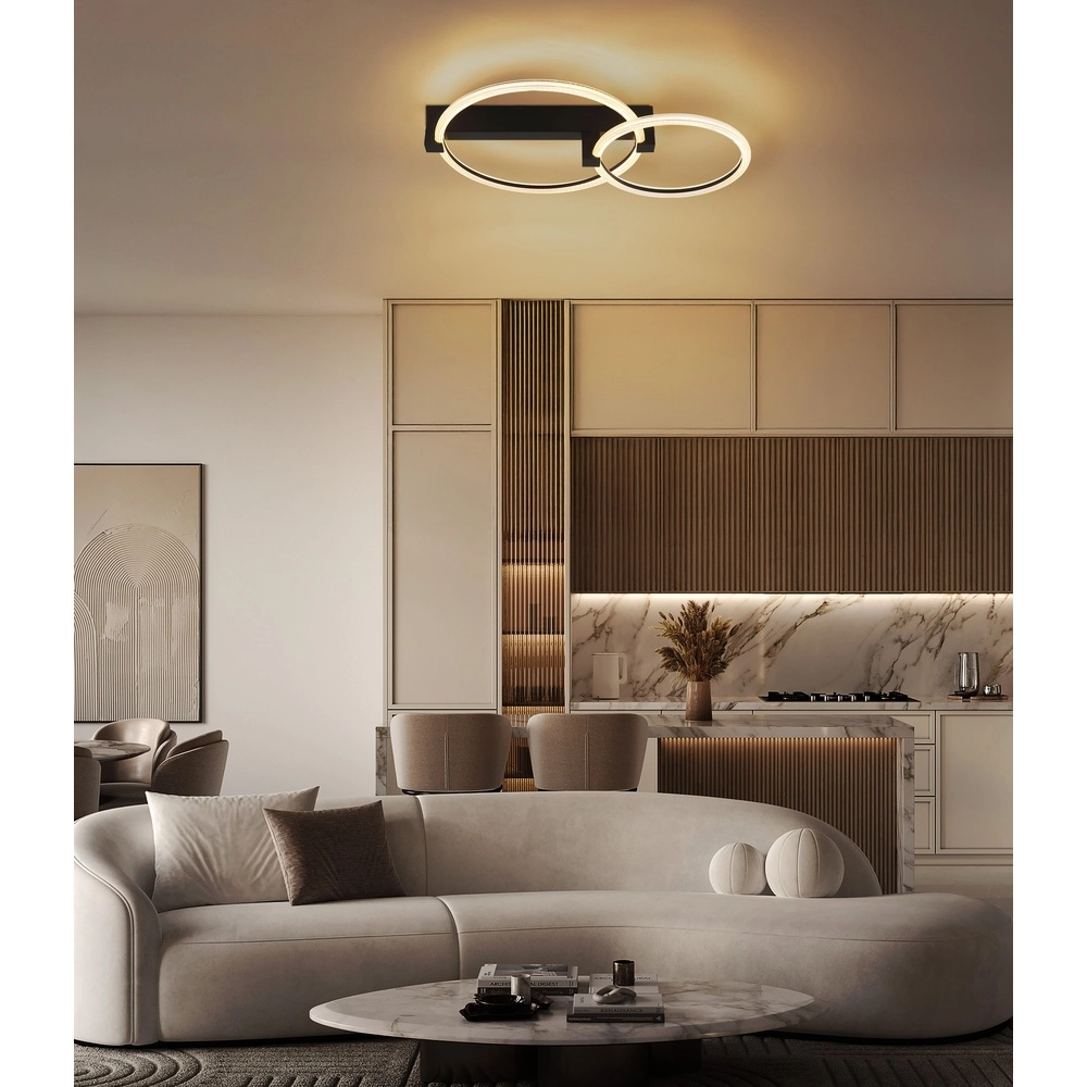 Black ceiling lamp Fletcher Design Globo 9007371589289