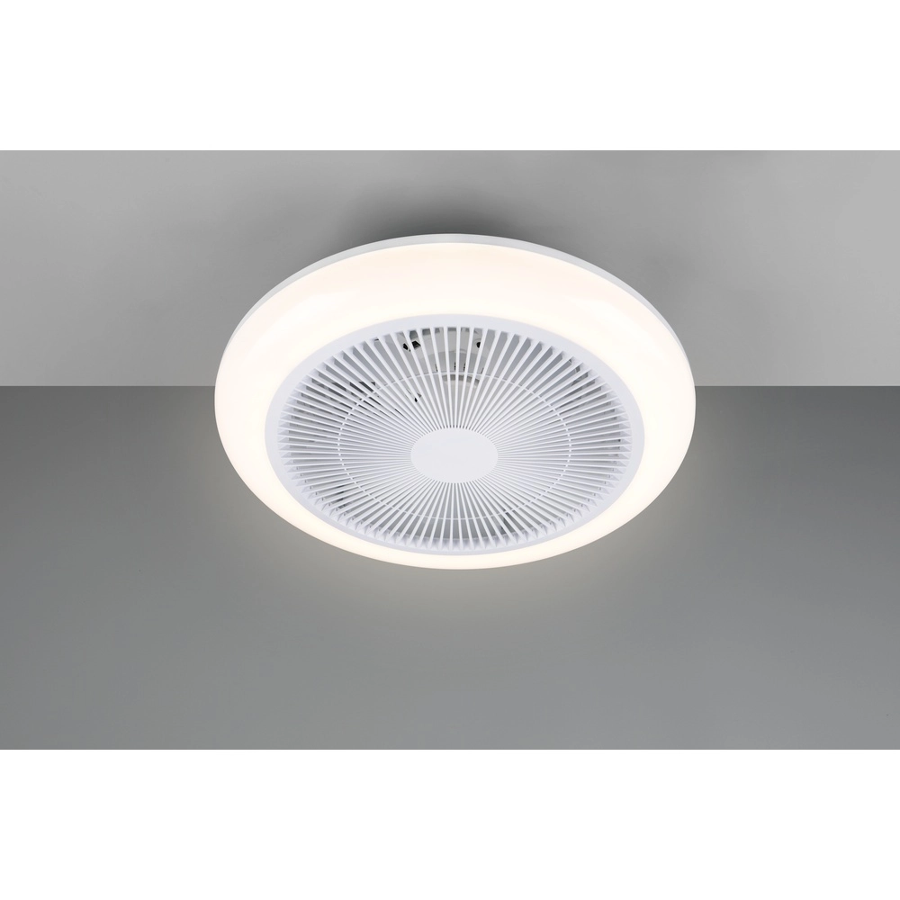 Design fan Holmsund white Ø 46cm with RGB function Trio 4017807688665