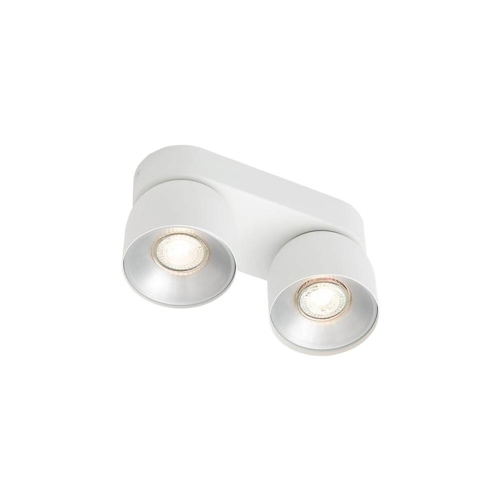 White spotlight Pitcher 2-light directional