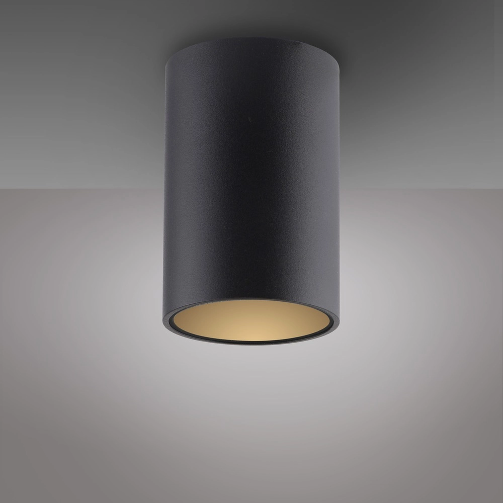 Ceiling surface-mounted spot Pure Point Ø 6cm - black pearl Paul Neuhaus 4012248395677