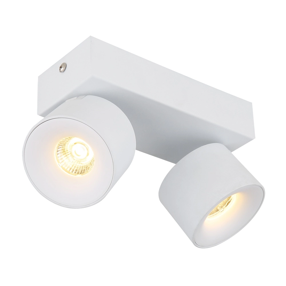 Sleek ceiling lamp Rae 2-light white