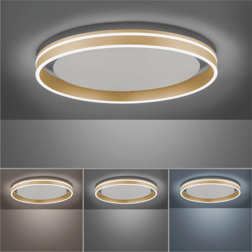 Ceiling lamp Q-Vito Ø 59cm brass Paul Neuhaus 4012248333884