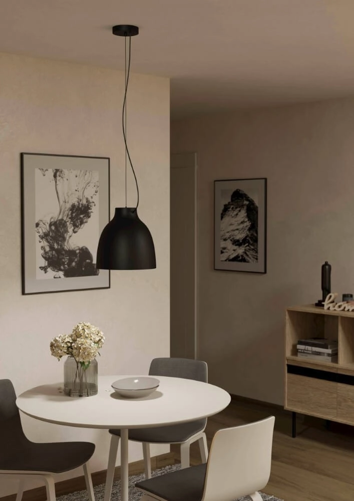 Black hanging lamp Camasca Ø 28cm Eglo 9008606239054