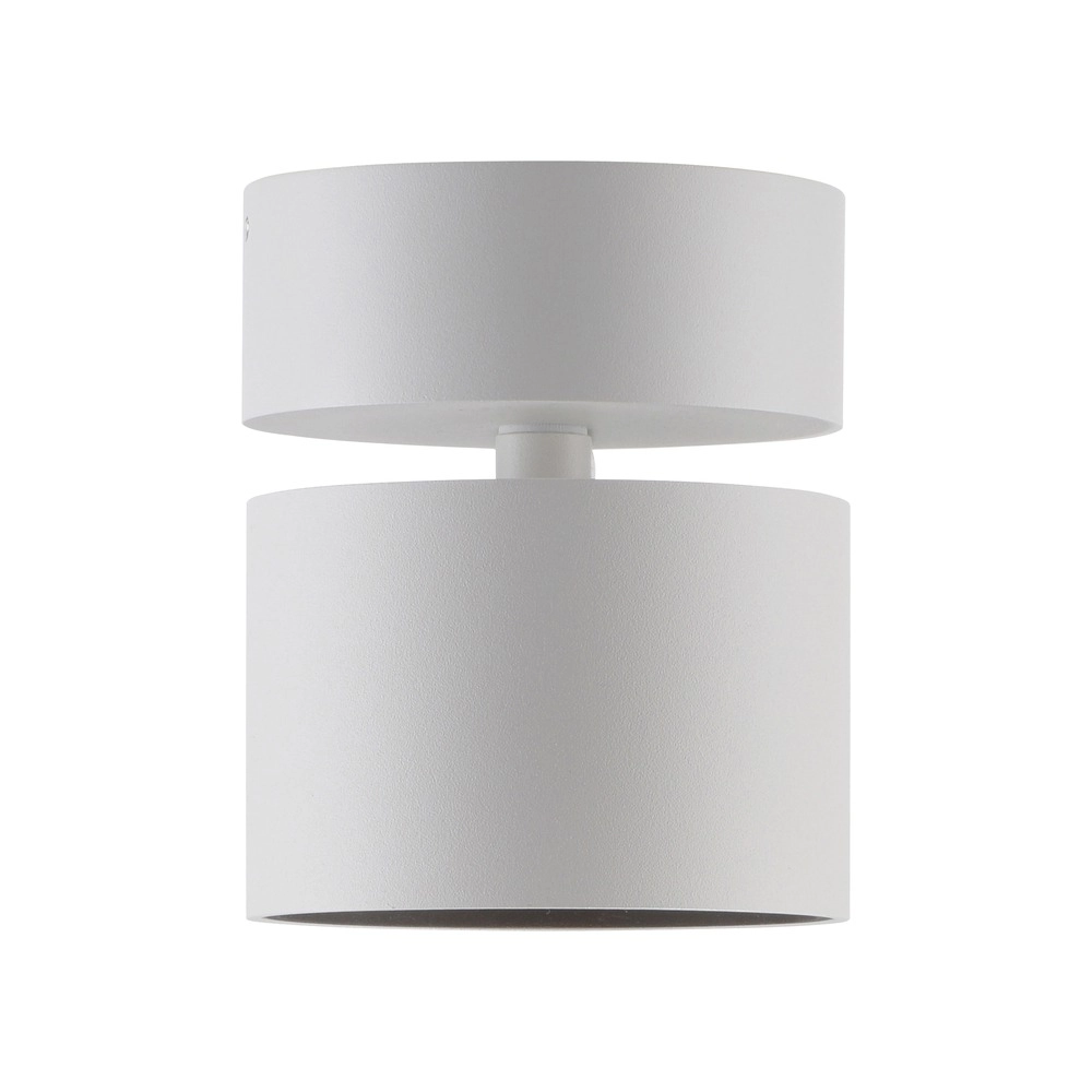 Sleek surface-mounted spot Pure Cup snow white Paul Neuhaus 4012248395578