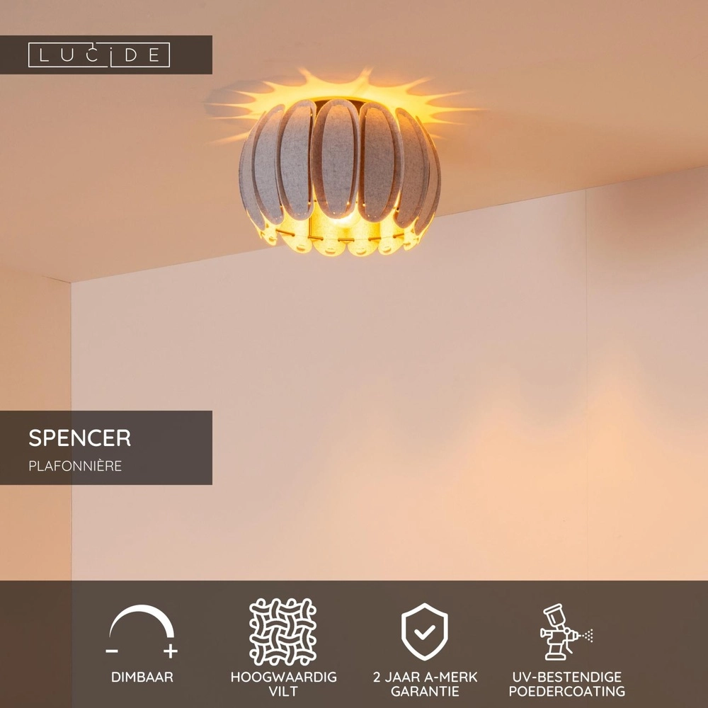 Ceiling lamp Spencer Ø 30cm grey Lucide 5411212343659