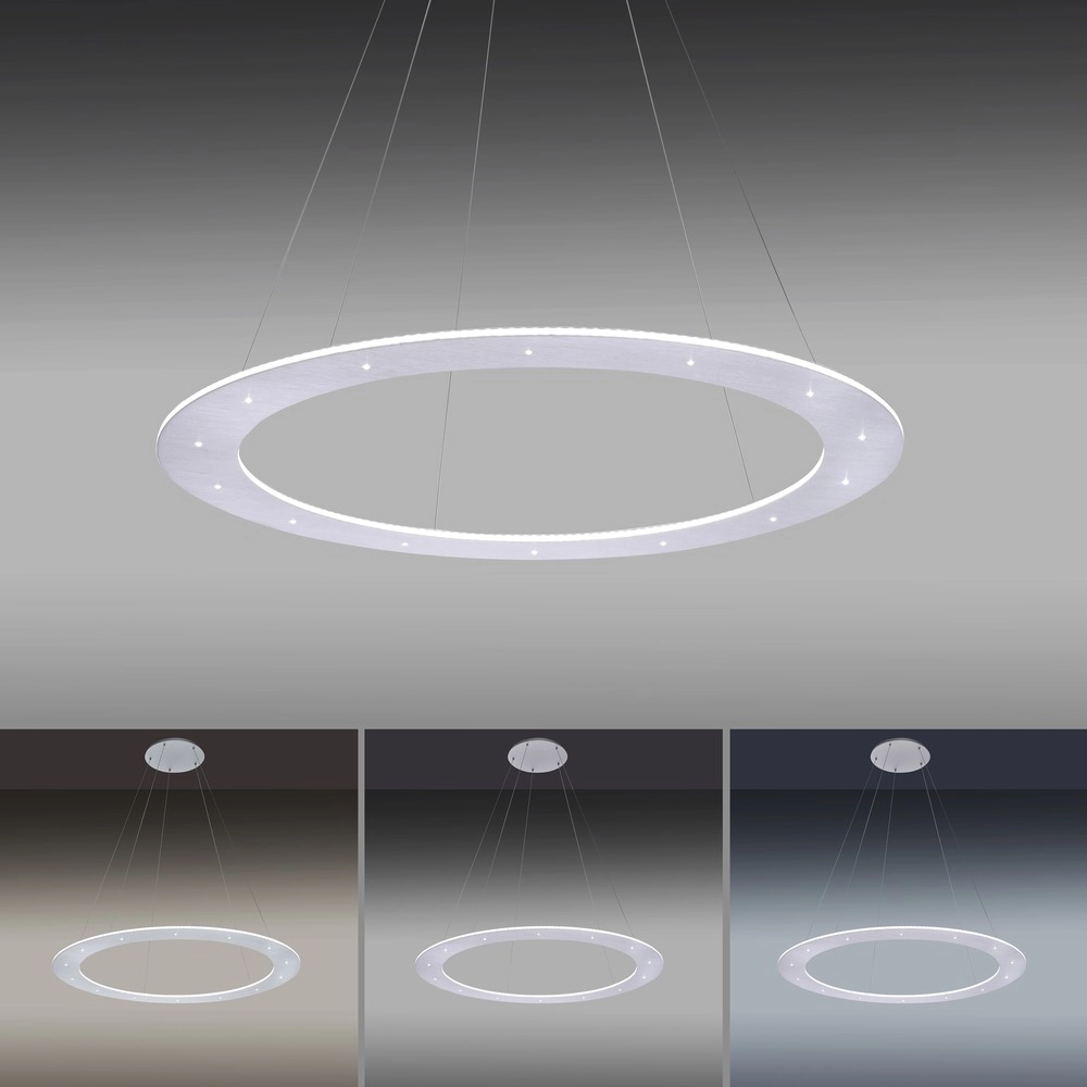 Led pendant light Pure Cosmo brushed metal - Ø 75cm Paul Neuhaus 4012248350751