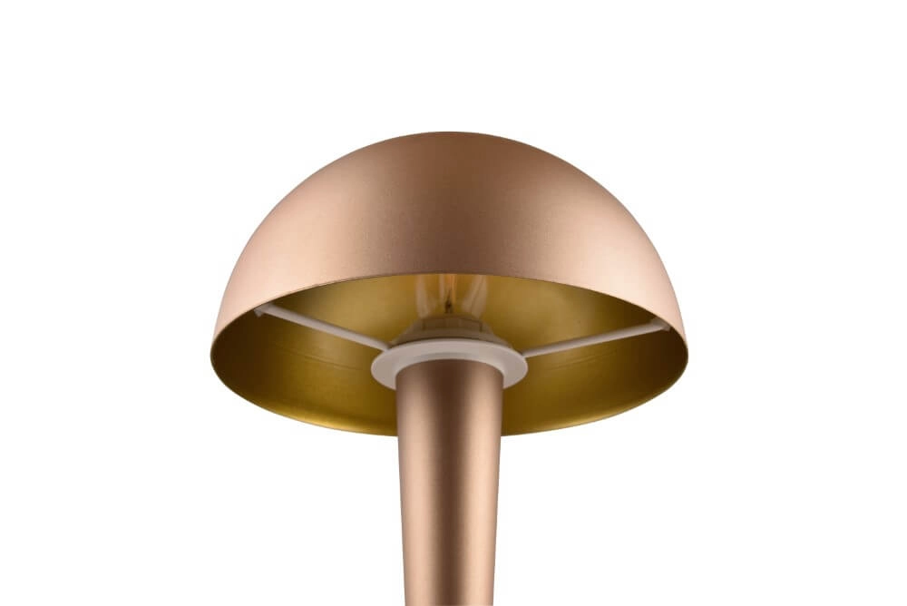 Brown table lamp Canaria design Trio 4017807574951