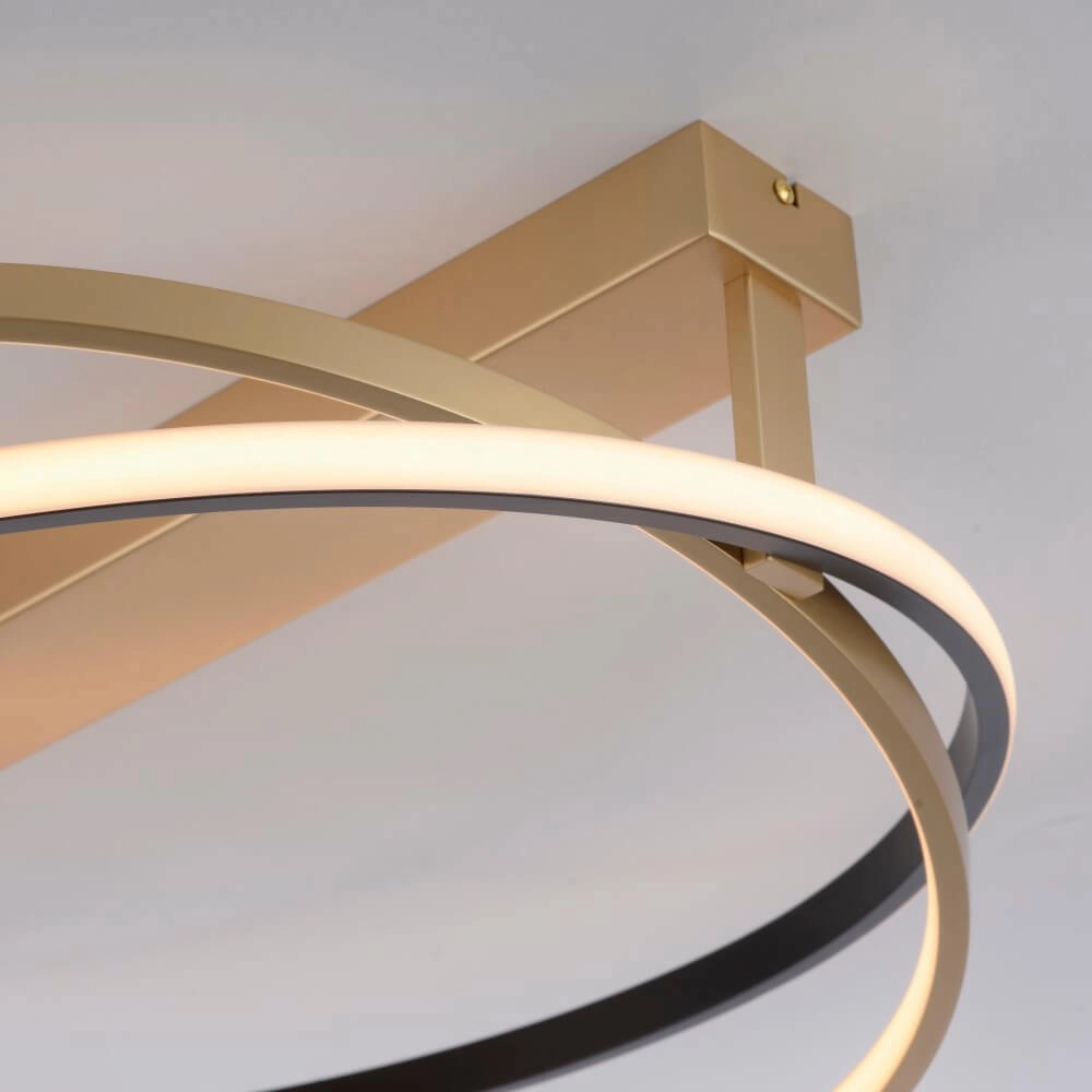 Ceiling lamp Q-Beluga brass Paul Neuhaus 4012248373606