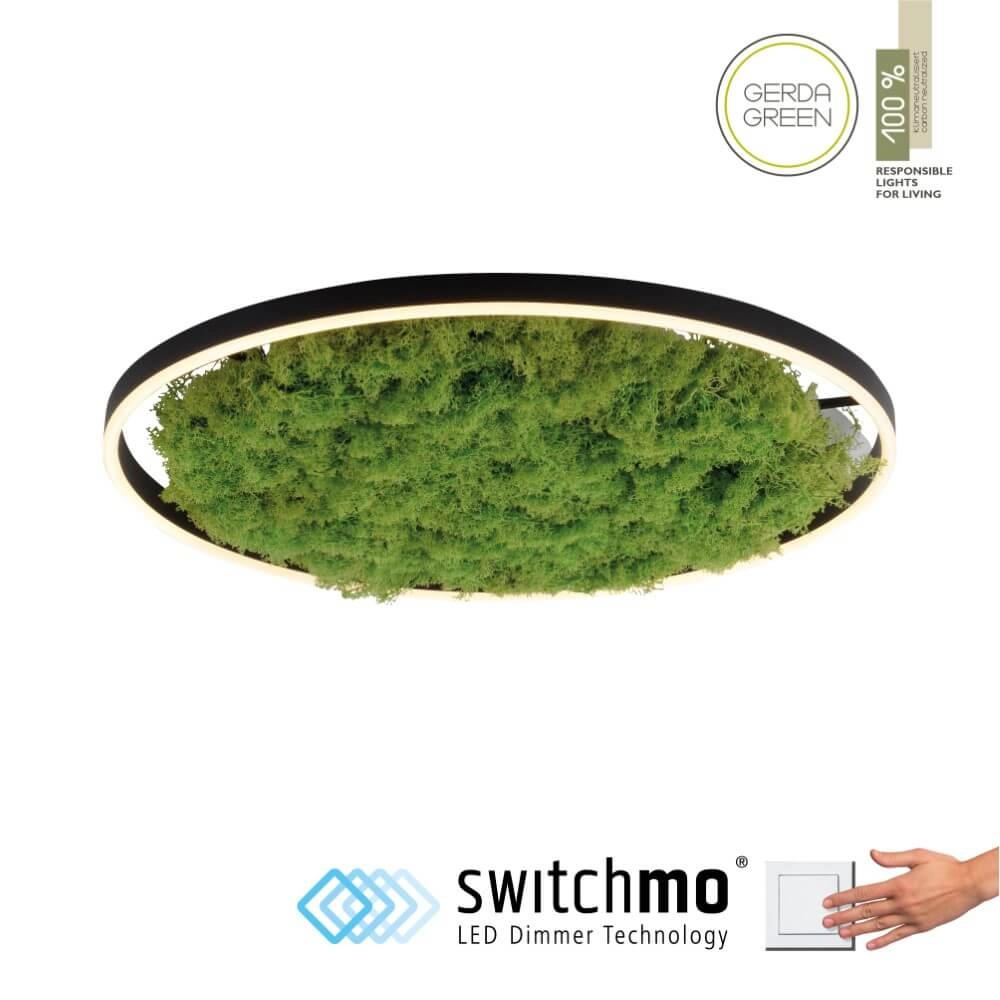 Ceiling lamp Green Ritus with moss Ø 58,5cm Just Light 4043689994808