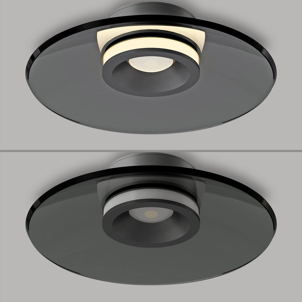 Ceiling lamp Pure Moon Ø 32cm - platinum with smoke glass Paul Neuhaus 4012248386330