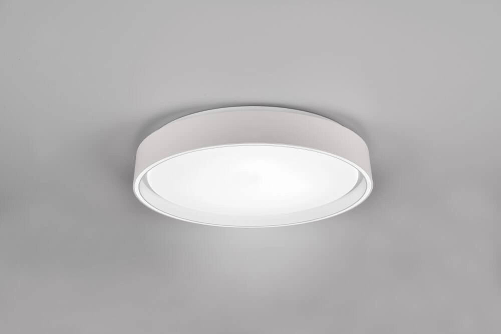 Ceiling light Felis with remote control Trio 4017807588064