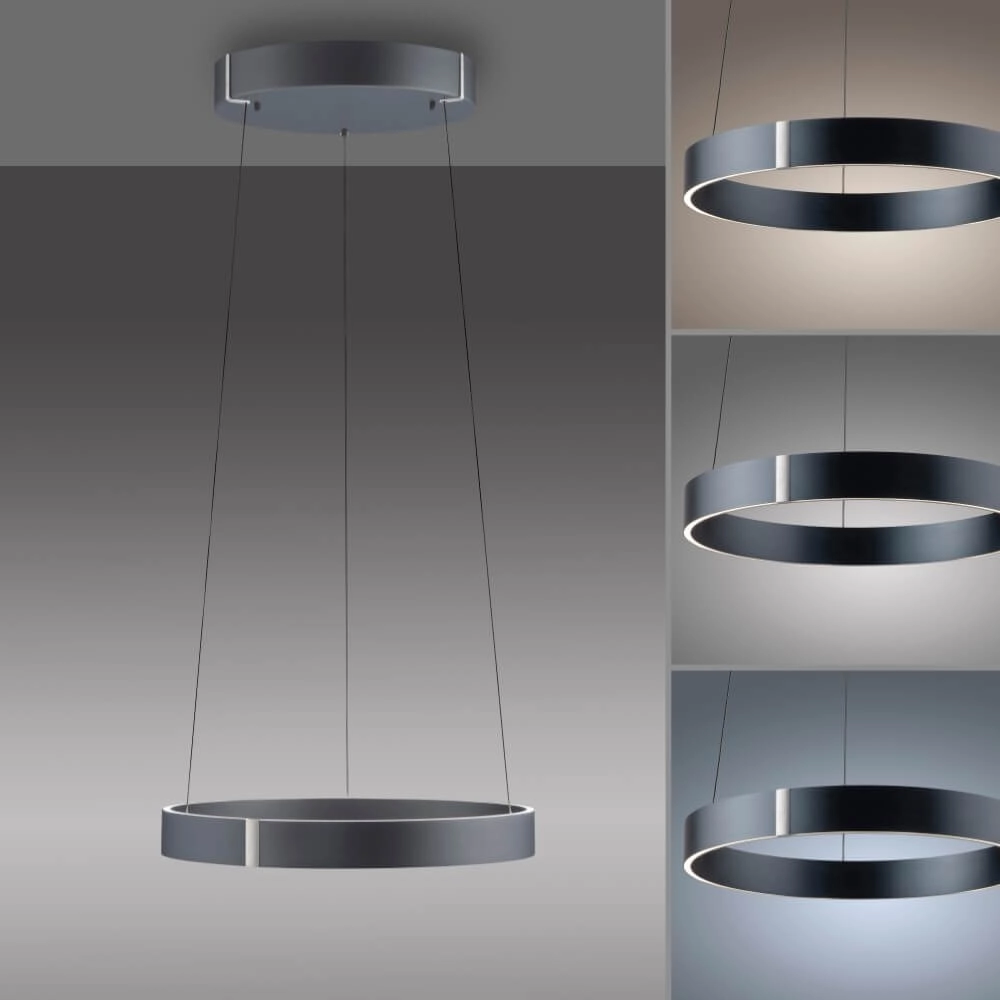 Round hanging lamp Pure E-Clipse gray Ø 50cm Paul Neuhaus 4012248372319