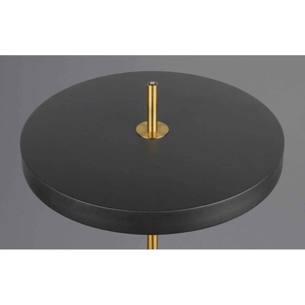 Modern floor lamp Keaton black with gold Trio 4017807655926