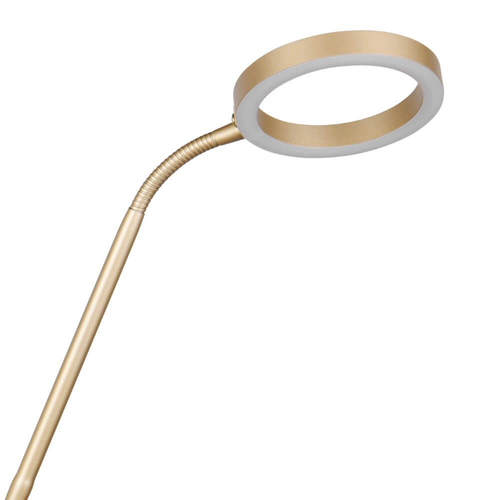 Design reading lamp Willis Gold - 180cm Trio 4017807627923