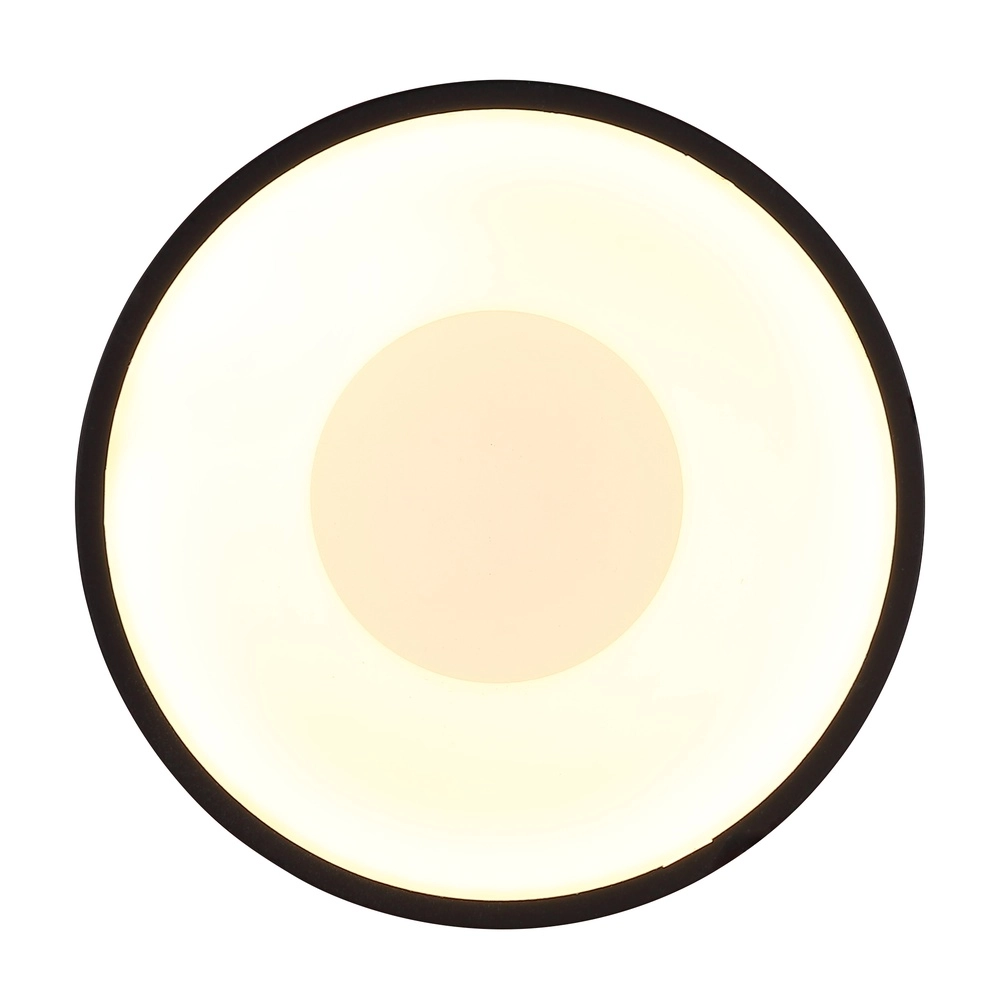 Ceiling lamp Raymond Black Globo 9007371525867
