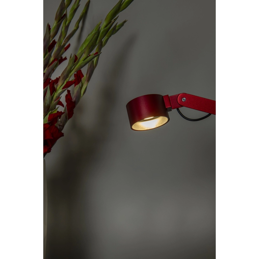 Desk lamp Ogden Red Premium by Lucide 5411212560315