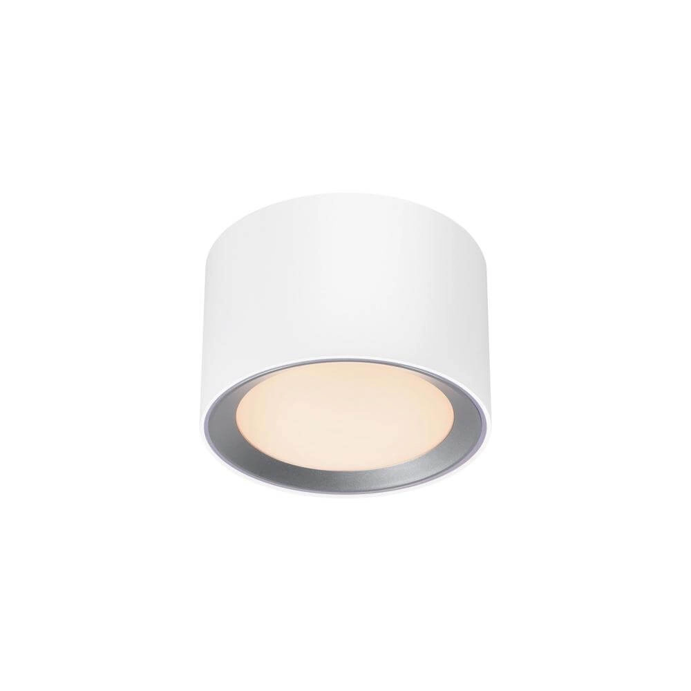 Surface-mounted spot Landon white Nordlux 5704924007309