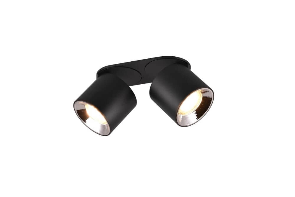 Ceiling light Guayana 2-light black Trio 4017807573961