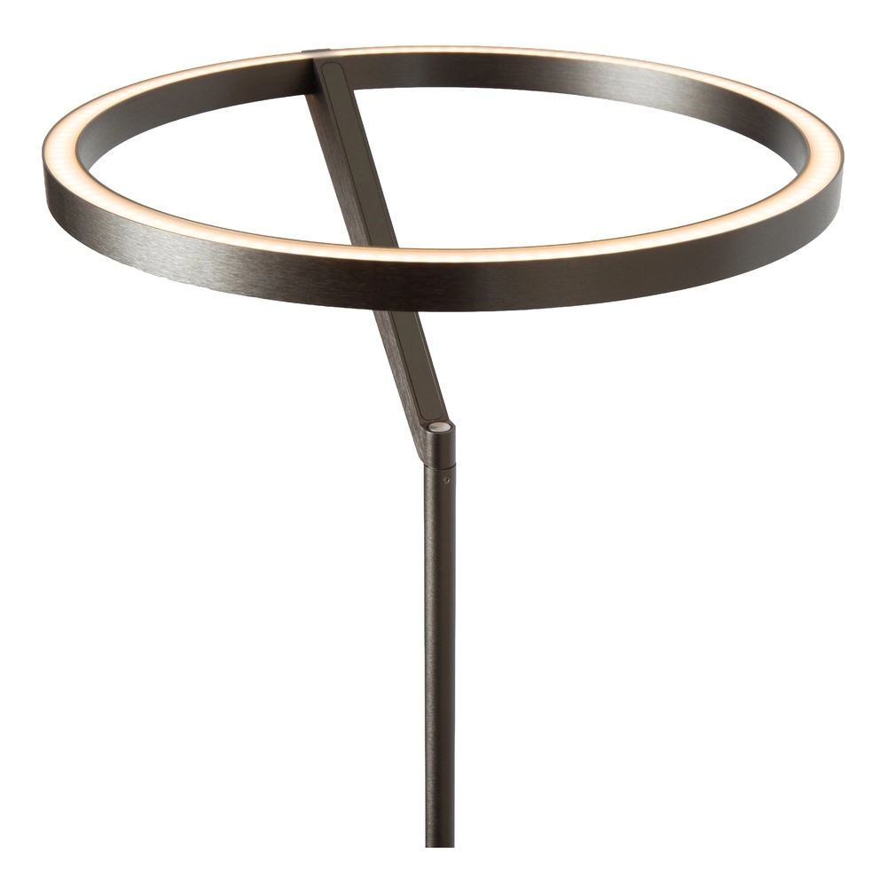 Sleek floor lamp with reading lamp Applause Brushed Metal - LED Premium by Lucide 5411212221865