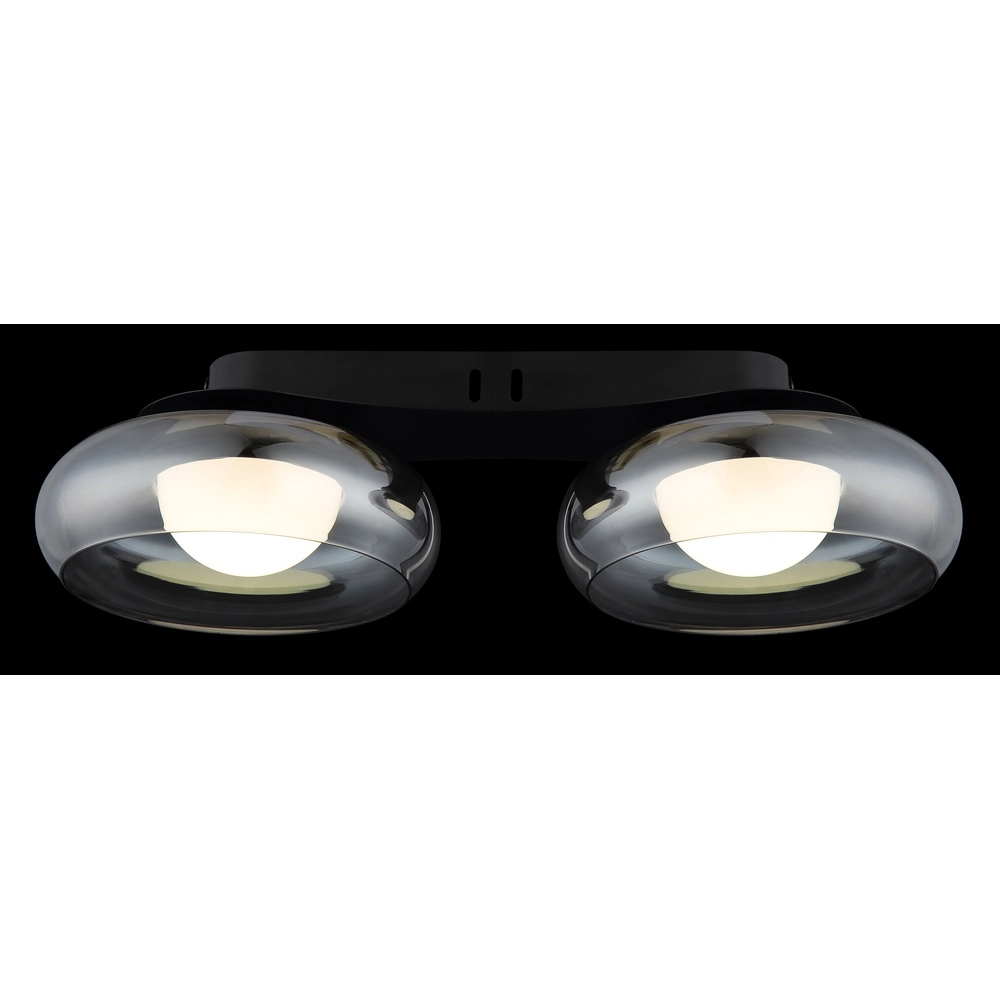 Design ceiling lamp Carlene 2-light black Globo 9007371569175