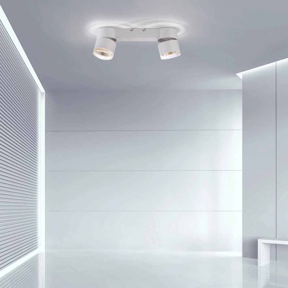 White ceiling lamp Pure Nola 2-light Paul Neuhaus 4012248374542