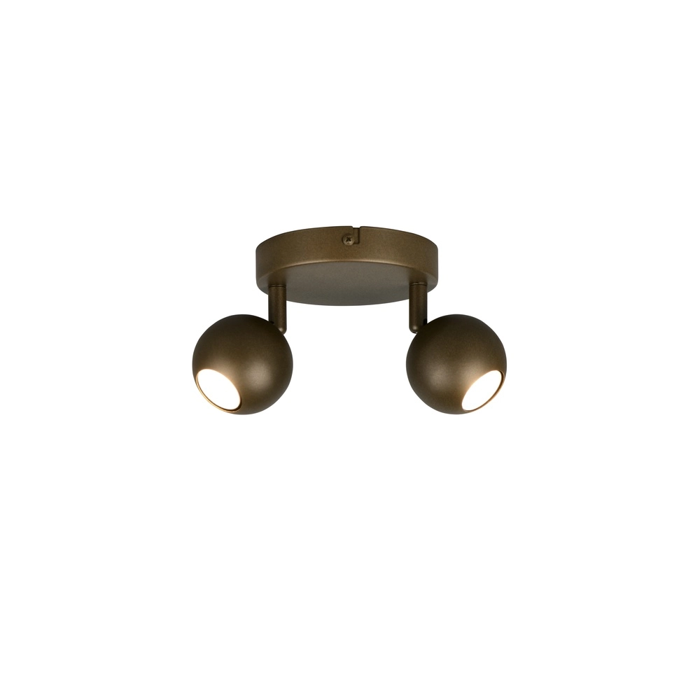Surface-mounted spot Enaro 2-light platinum