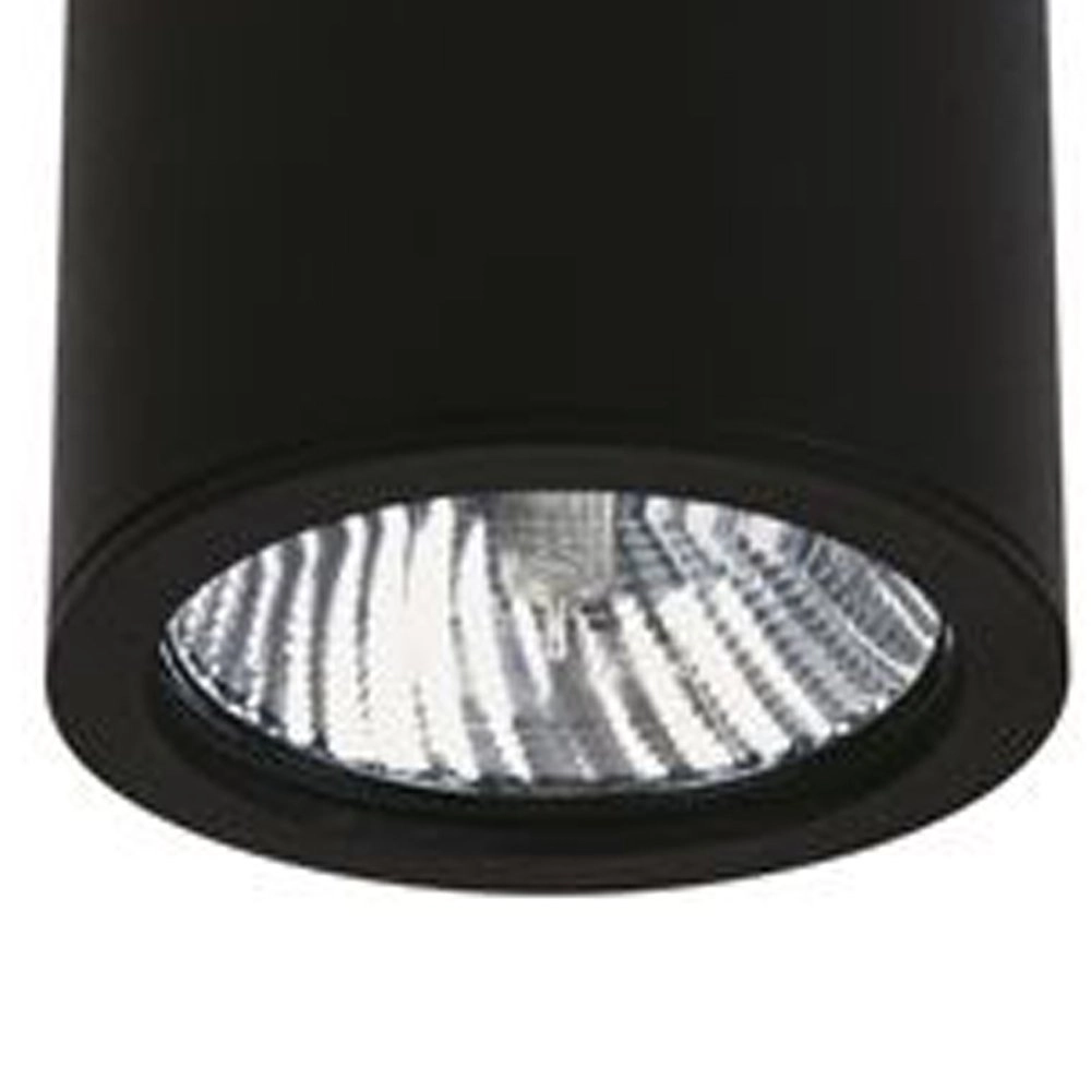 Outdoor ceiling lighting Yori 12W - Black Albert 4007235623802