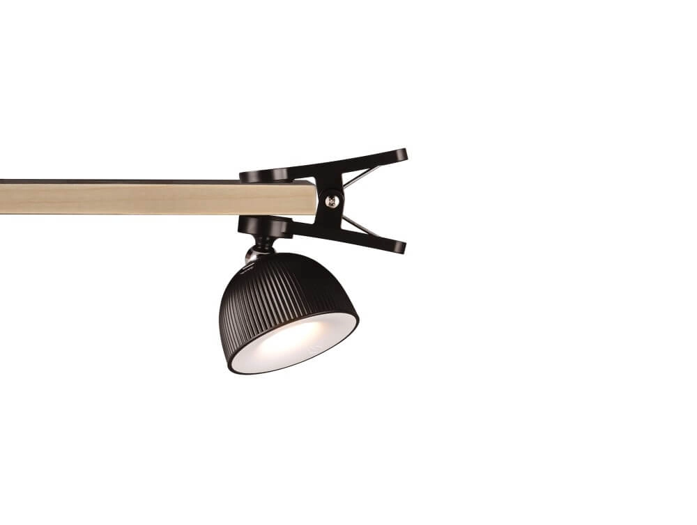 Multifunction light Maxima black Trio 4017807601961