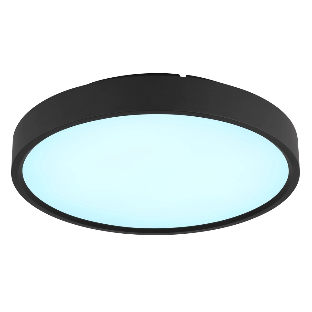 Ceiling light Jess Black Globo 9007371592470