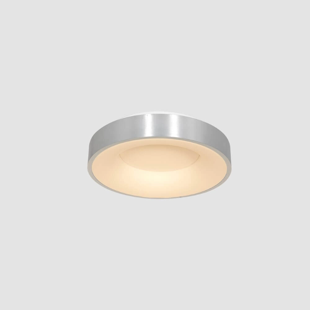 Ø 30cm ceiling lamp Ringlede with led Steinhauer 8712746135794
