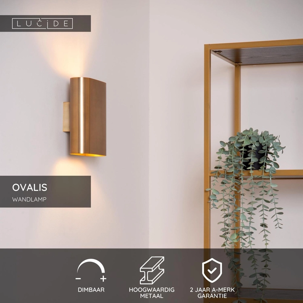 Design wall spot Ovalis Gold Lucide 5411212126955