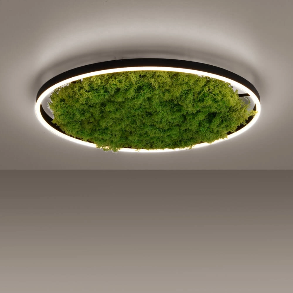 Ceiling lamp Green Ritus with moss Ø 58,5cm Just Light 4043689994808