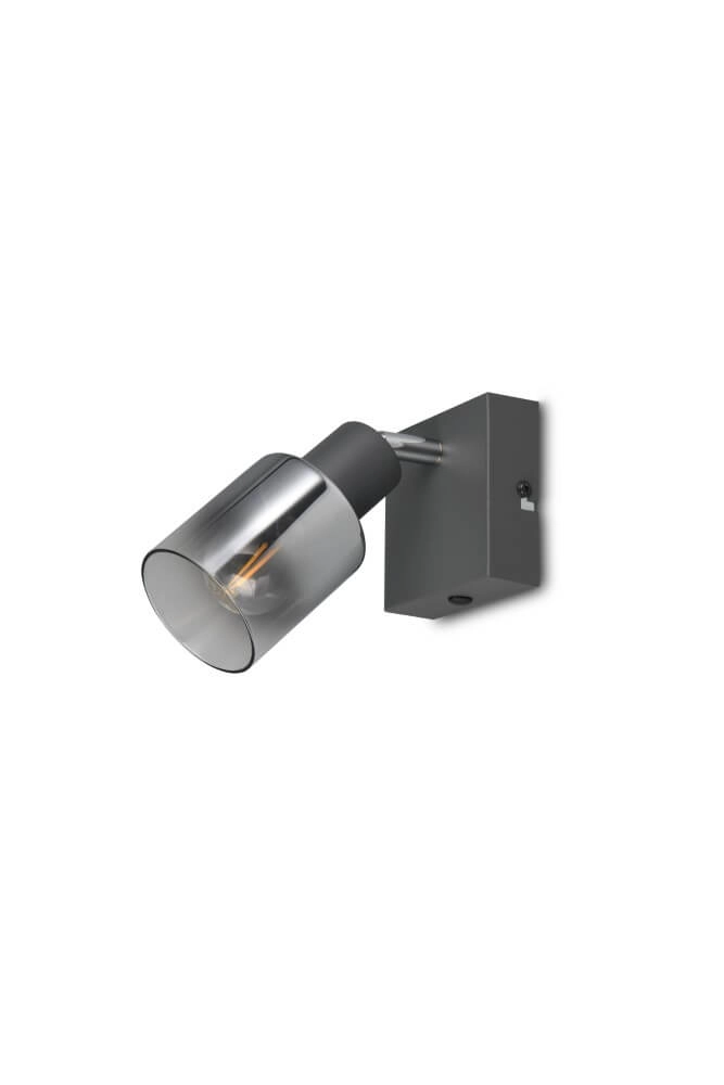 Black wall light Cadiz with smoke glass Trio 4017807615753