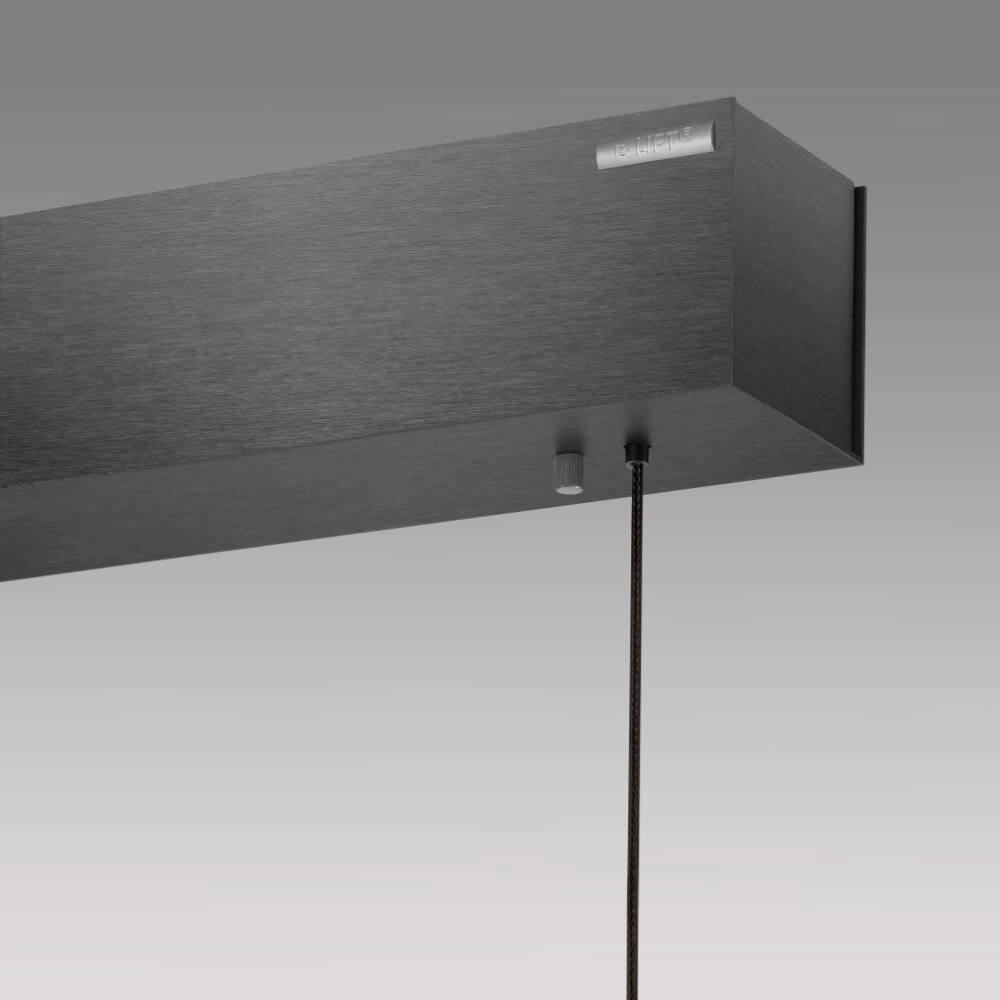 Design hanging lamp Pure E-Motion cartridge Paul Neuhaus 4012248386255