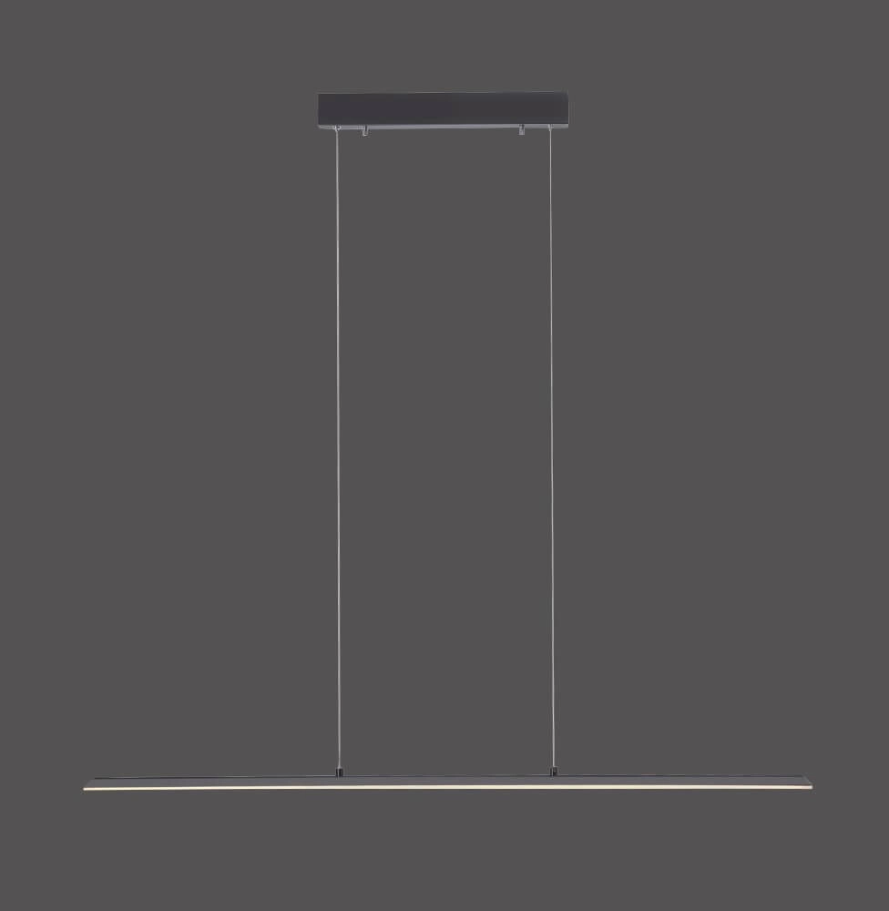 Design hanging lamp Pure Lite 100cm anthracite Paul Neuhaus 4012248344873