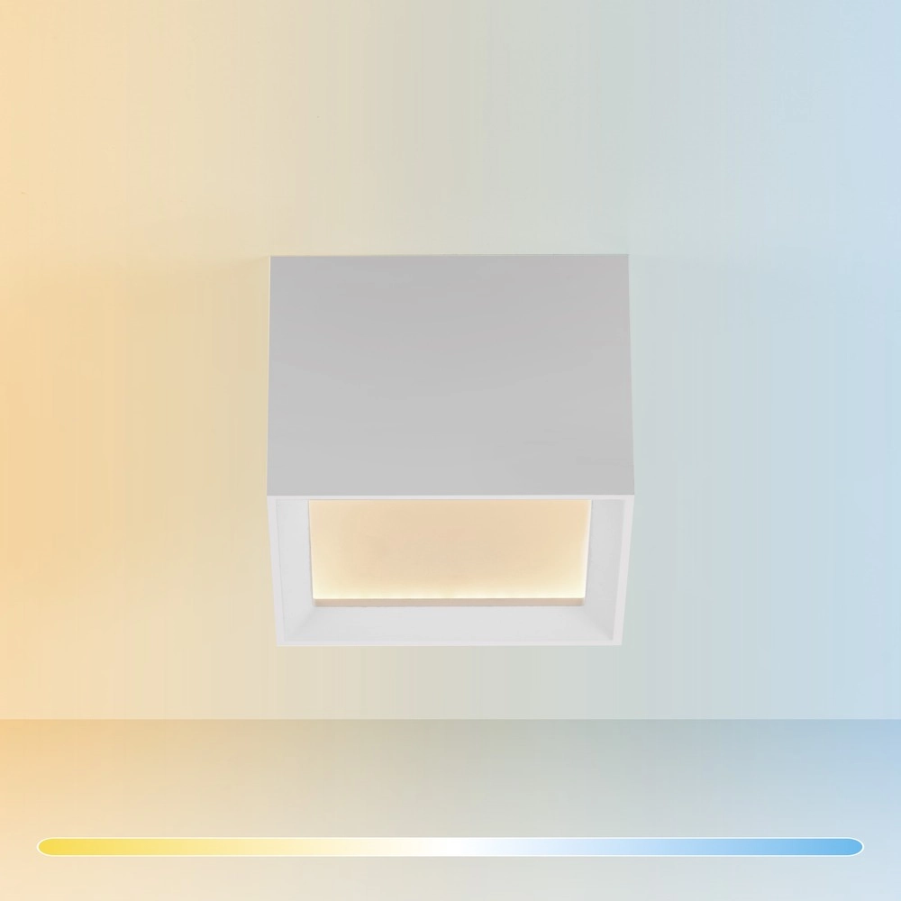 Led surface-mounted spot Pure Manhattan white Paul Neuhaus 4012248396834
