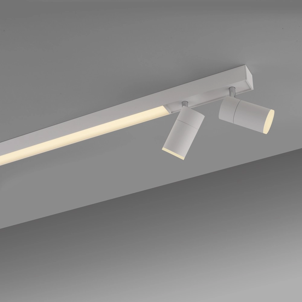Ceiling surface-mounted spot Pure Lines Spot 110cm - white Paul Neuhaus 4012248395837
