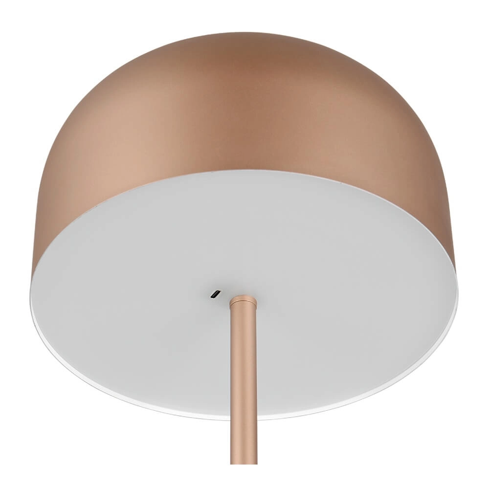 Rechargeable floor lamp Jeff coffee brown Trio 4017807640915