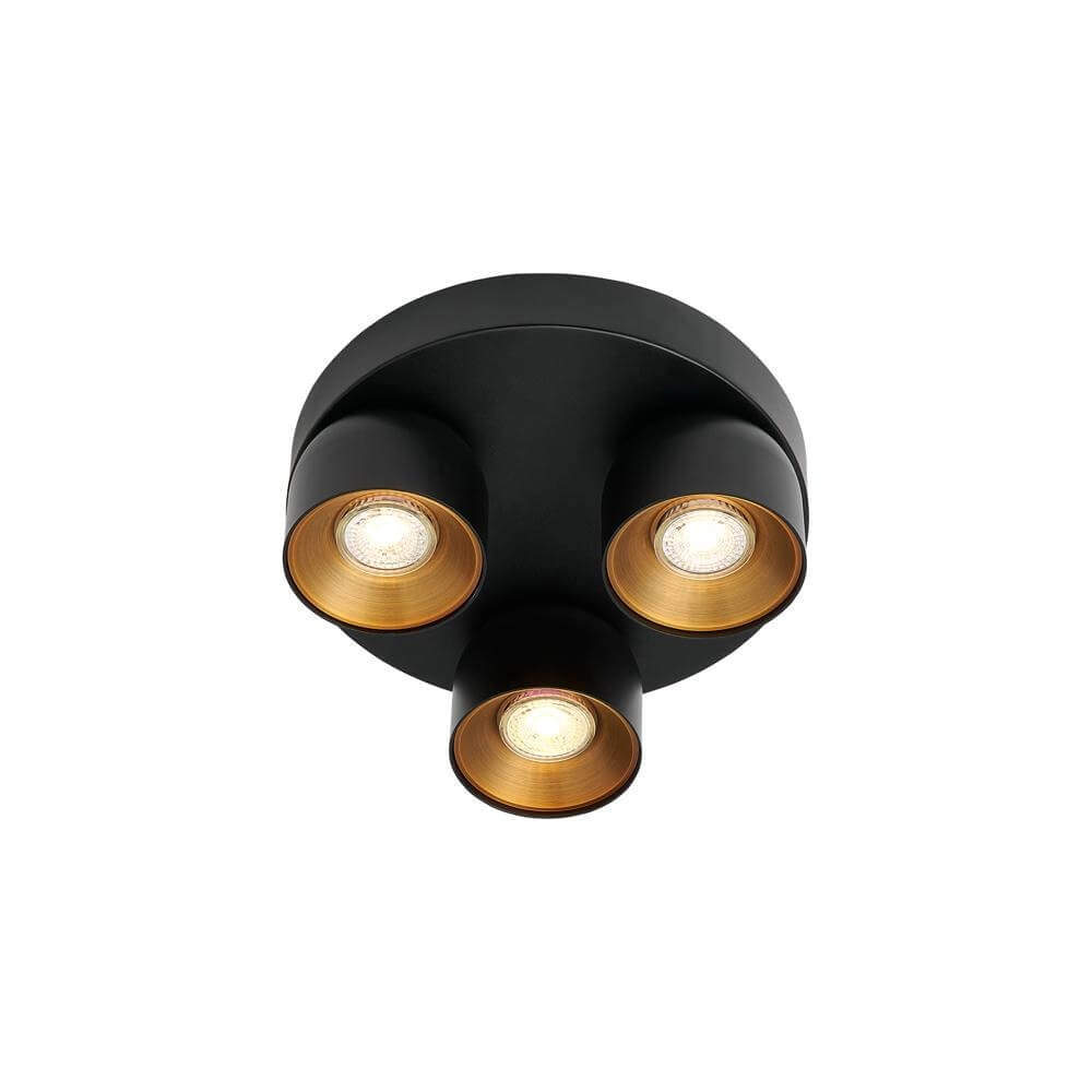 Black spot Pitcher 3-light directional
