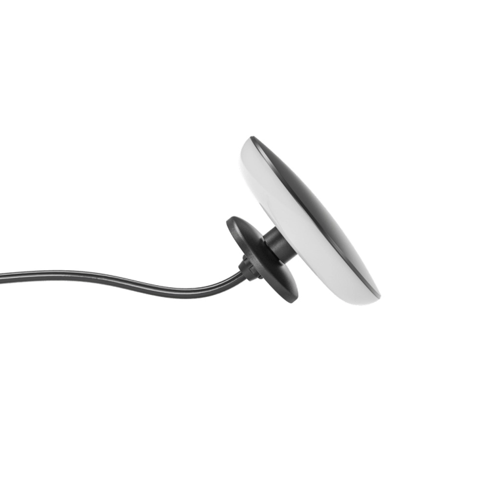 12 volt wall lamp Sway Wall Black In-lite 8717051004896