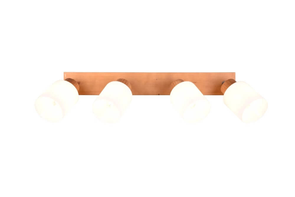 Rural ceiling spotlight Assam 4-light Trio 4017807539851