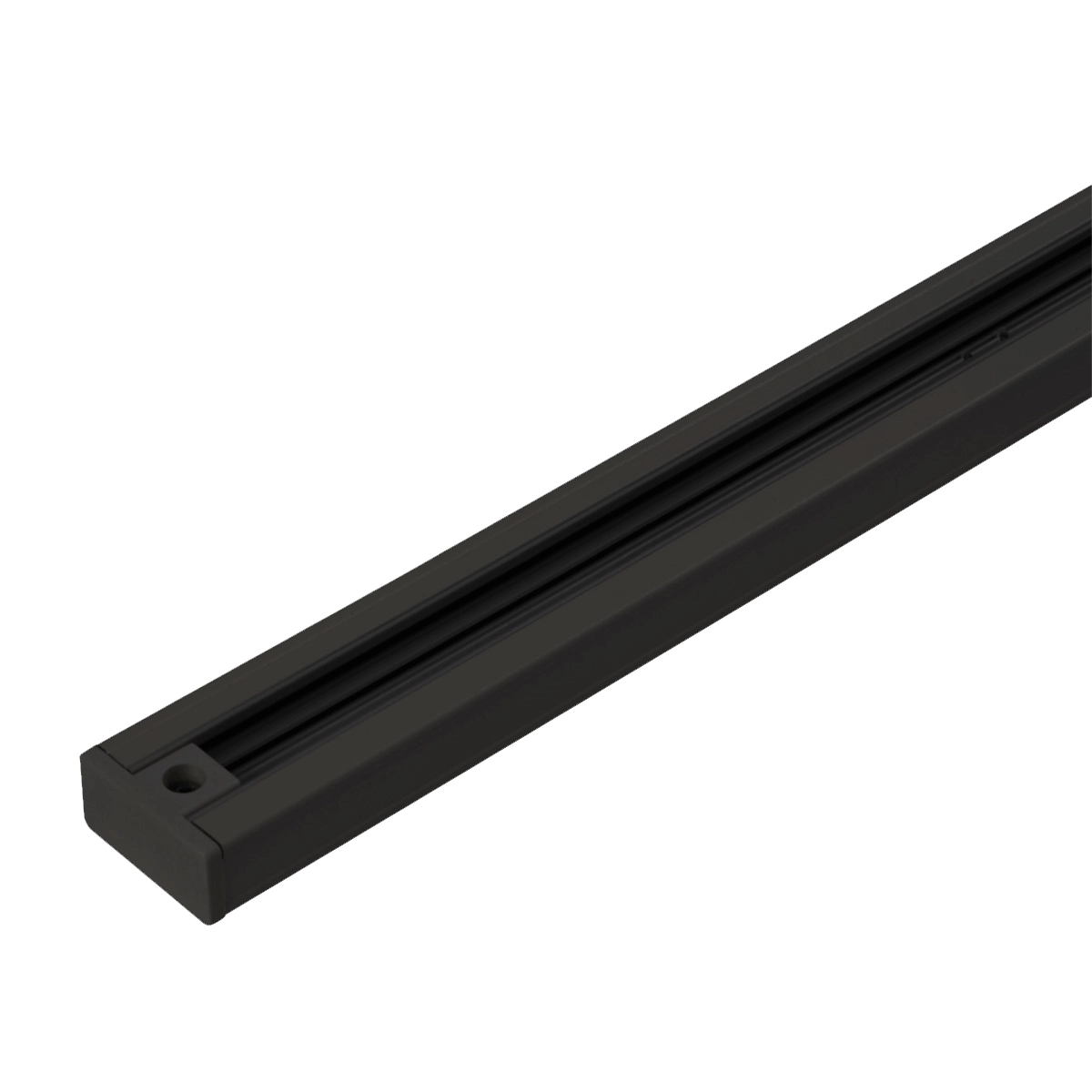 1 meter rail TraQ black Lyora